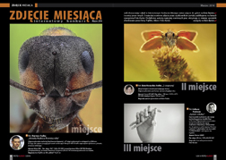Zdjcie miesica